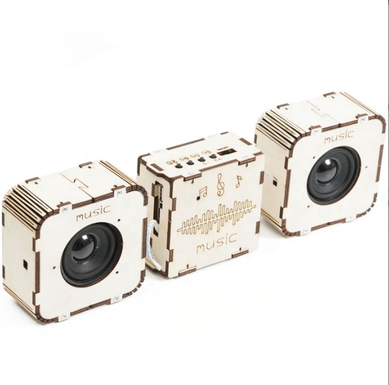 Advanced Bluetooth speaker STEM kit with two wooden wireless speakers